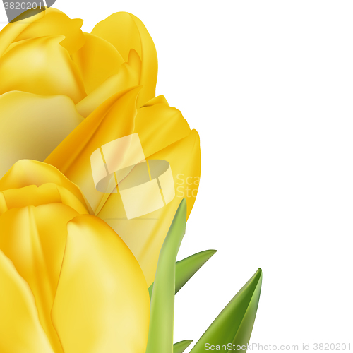 Image of Tulips decorative background. EPS 10