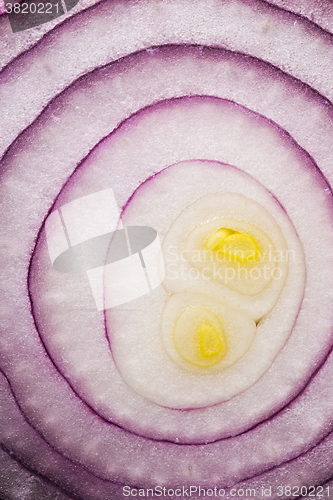 Image of Red onion (background)