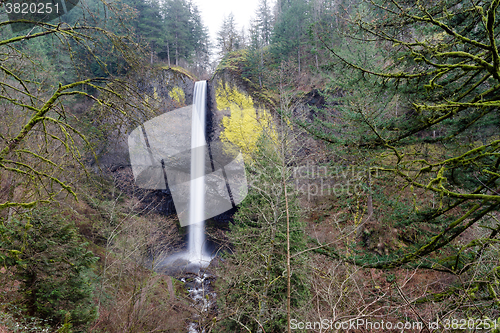 Image of Columbia Gorge Waterfall Oregon Cascades Ainsworth State Park