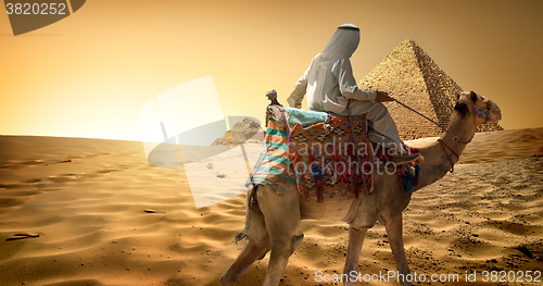 Image of Bedouin on camel in desert