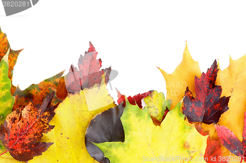 Image of Frame of Autumn Leafs