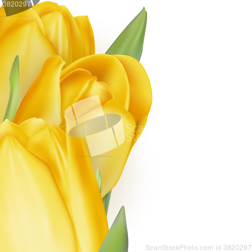 Image of Tulips decorative background. EPS 10