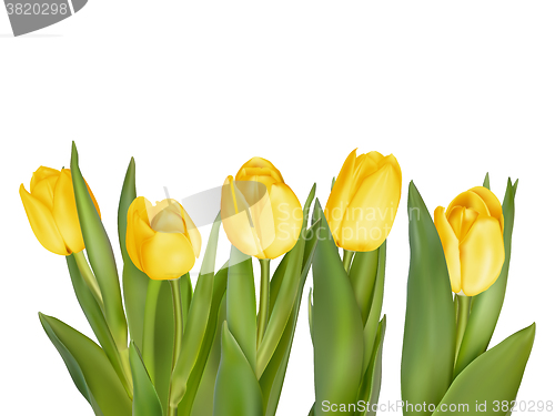 Image of Bouquet of yellow tulips. EPS 10