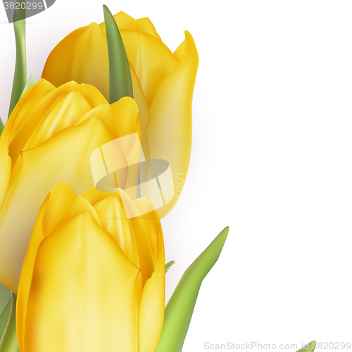 Image of Tulips decorative background. EPS 10