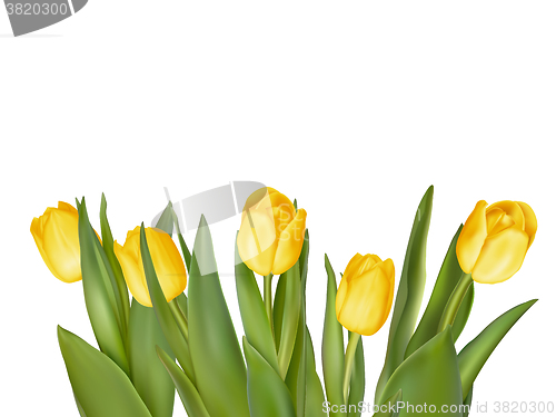 Image of Bouquet of yellow tulips. EPS 10