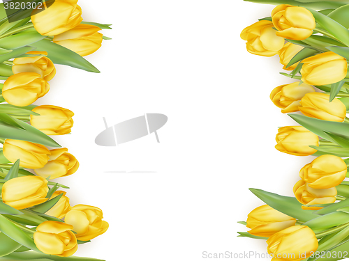 Image of Isolated tulip frame. EPS 10
