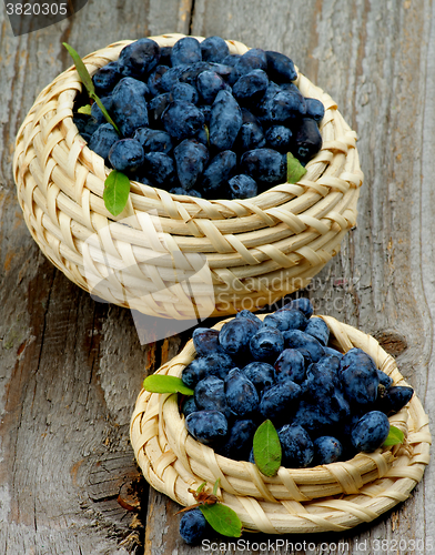 Image of Fresh Honeysuckle Berries