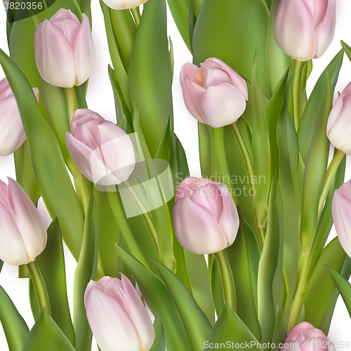 Image of Seamless from pink tulips. EPS 10