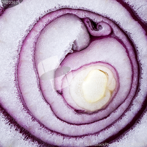 Image of Red onion (background)