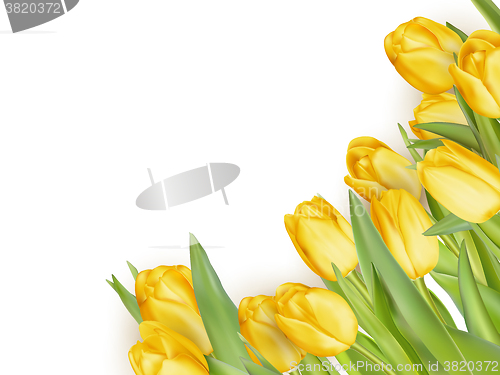Image of Isolated tulip frame. EPS 10