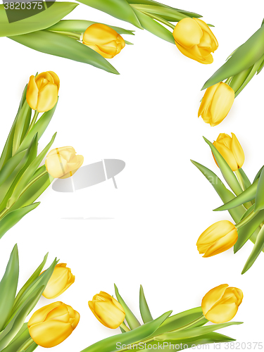 Image of Isolated tulip frame. EPS 10
