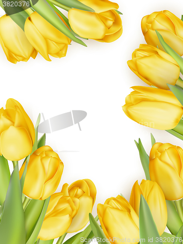 Image of Isolated tulip frame. EPS 10