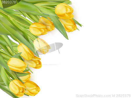Image of Isolated tulip frame. EPS 10