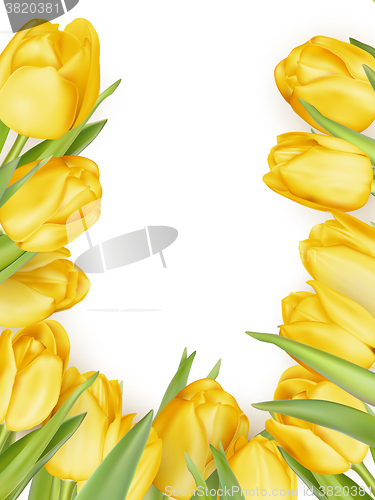 Image of Isolated tulip frame. EPS 10