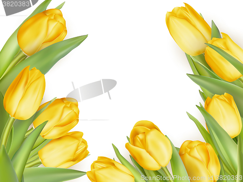 Image of Isolated tulip frame. EPS 10