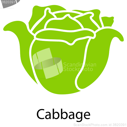 Image of Cabbage icon