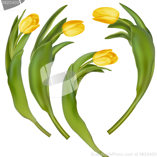 Image of Bouquet of yellow tulips. EPS 10