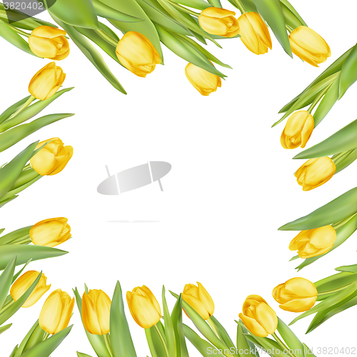Image of Isolated tulip frame. EPS 10
