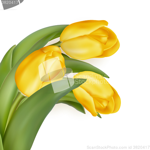 Image of Bouquet of yellow tulips. EPS 10