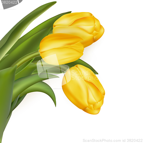 Image of Bouquet of yellow tulips. EPS 10