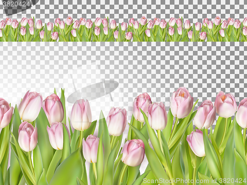 Image of Spring seamless border background. EPS 10