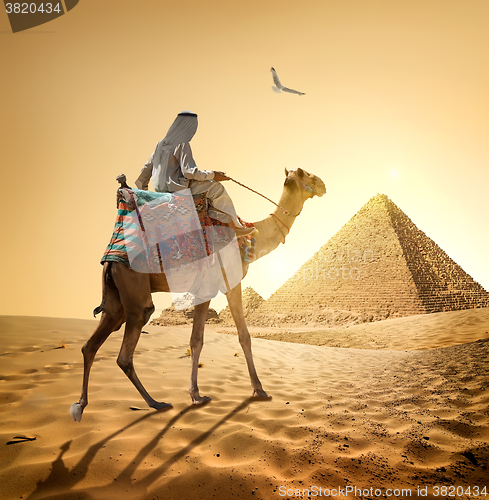 Image of Bedouin and bird