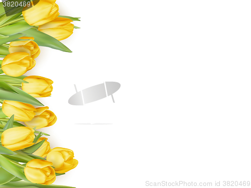 Image of Isolated tulip frame. EPS 10