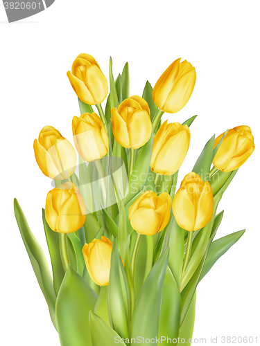 Image of Bouquet of yellow tulips. EPS 10