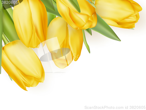 Image of Bouquet of yellow tulips. EPS 10