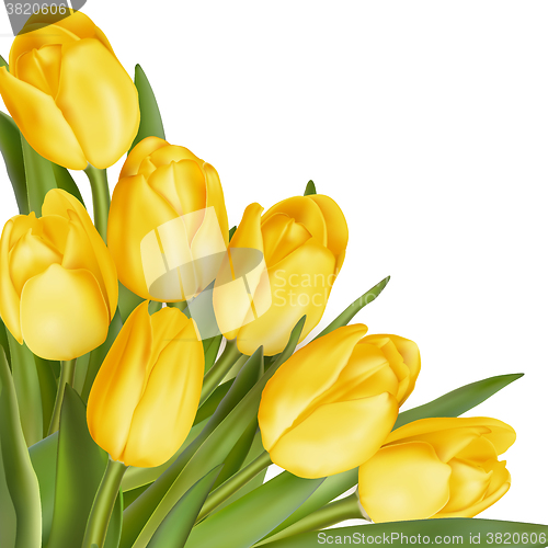 Image of Bouquet of yellow tulips. EPS 10