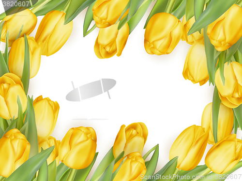Image of Isolated tulip frame. EPS 10
