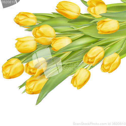 Image of Bouquet of yellow tulips. EPS 10