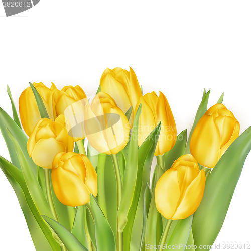 Image of Bouquet of yellow tulips. EPS 10