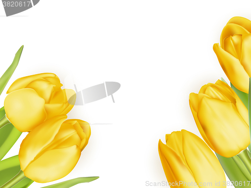 Image of Bouquet of yellow tulips. EPS 10