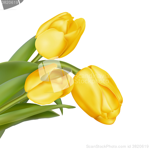 Image of Bouquet of yellow tulips. EPS 10