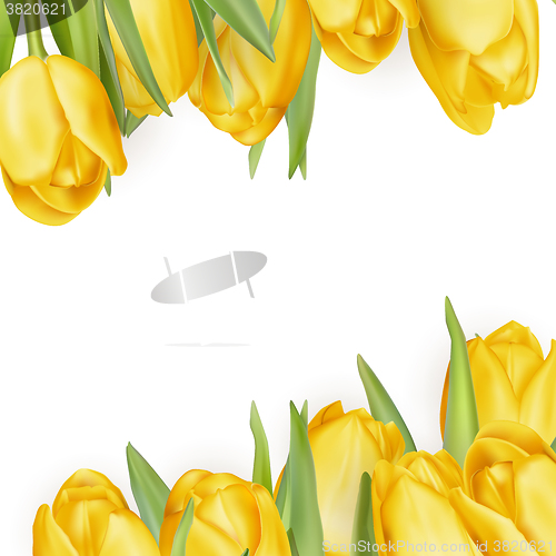 Image of Yellow flowers isolated on white. EPS 10 