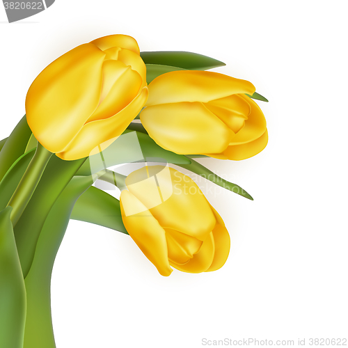 Image of Bouquet of yellow tulips. EPS 10