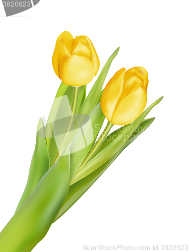 Image of Tulips decorative background. EPS 10