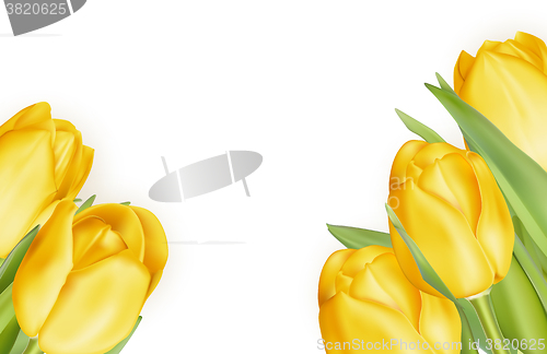 Image of Bouquet of yellow tulips. EPS 10