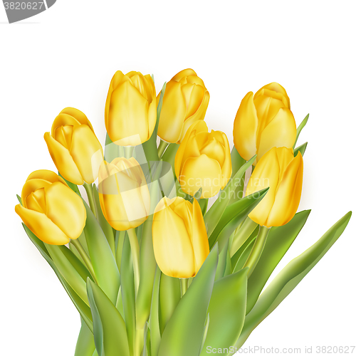 Image of Bouquet of yellow tulips. EPS 10