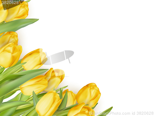 Image of Yellow flowers isolated on white. EPS 10 