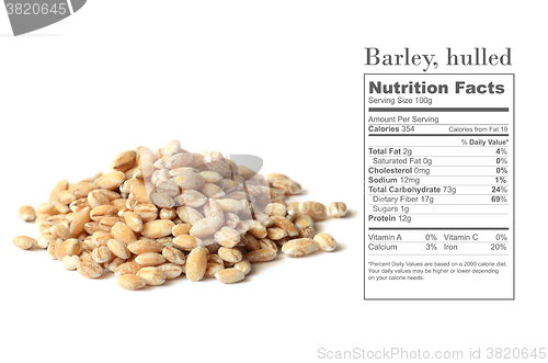 Image of barley grain seeds
