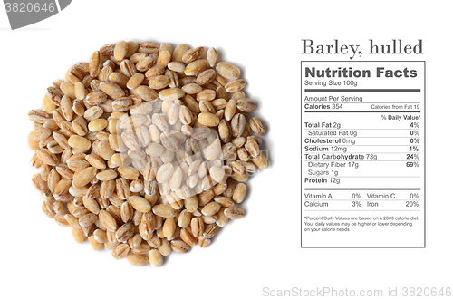 Image of barley grain seeds