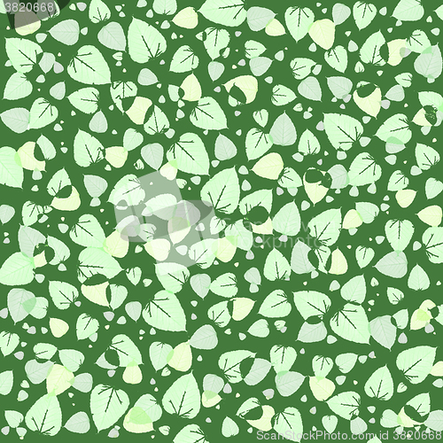Image of Seamless texture of green foliage