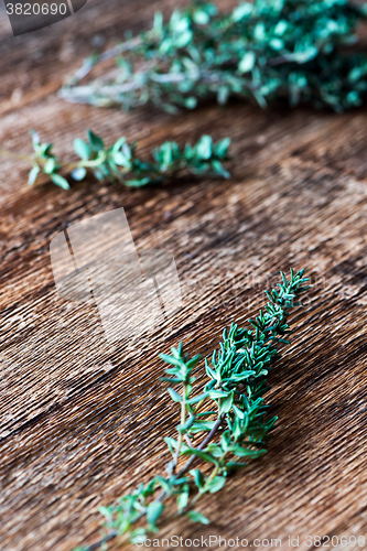 Image of Green thyme sprig
