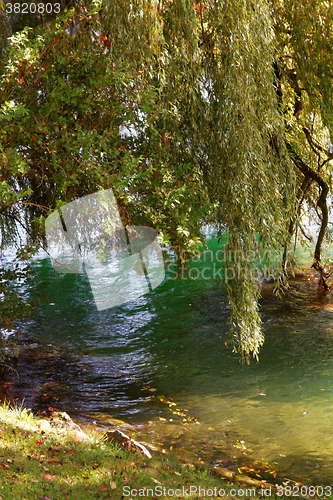 Image of Lake in the park