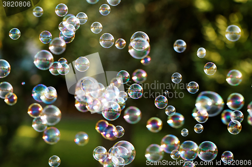 Image of Soap bubbles