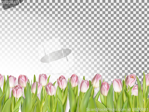 Image of Spring seamless border background. EPS 10