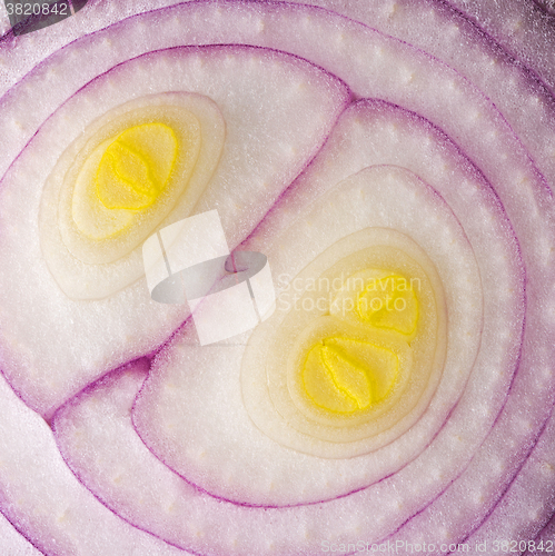 Image of Red onion (background)