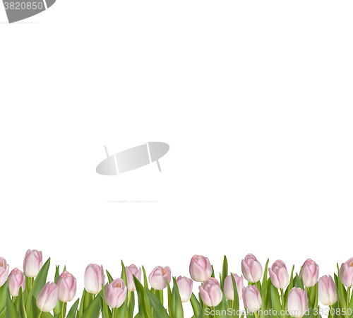 Image of Spring seamless border background. EPS 10